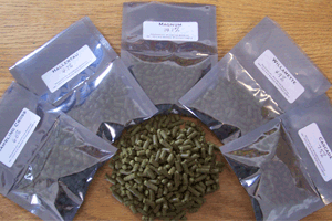 Bittering and Aroma Hops for Making Beer